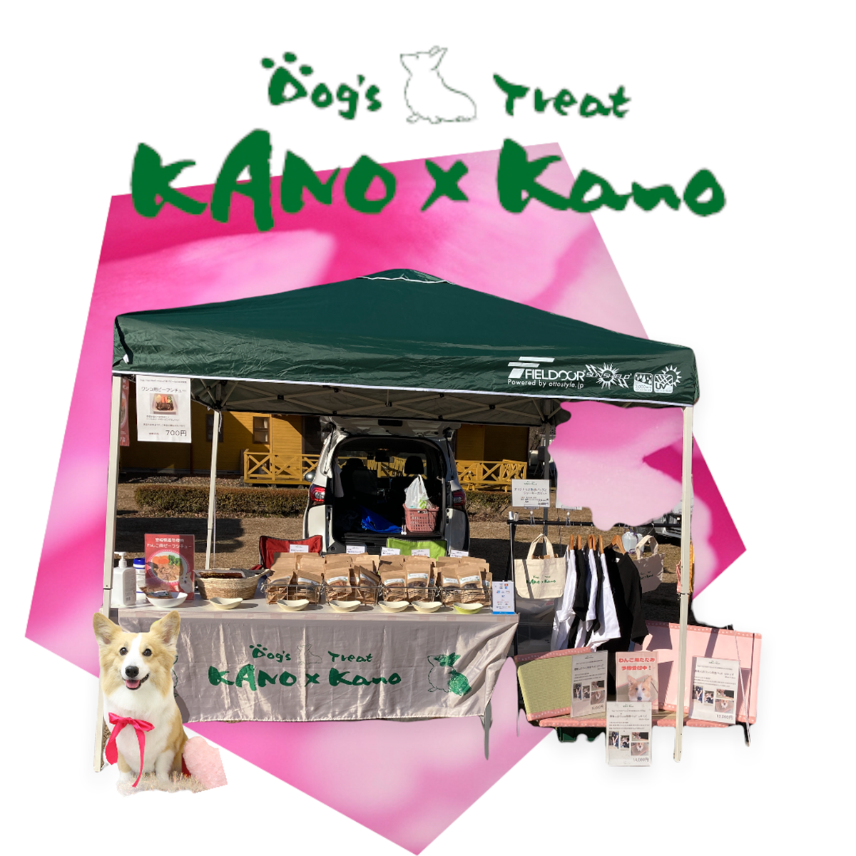 Dog's Treat KANO×Kano