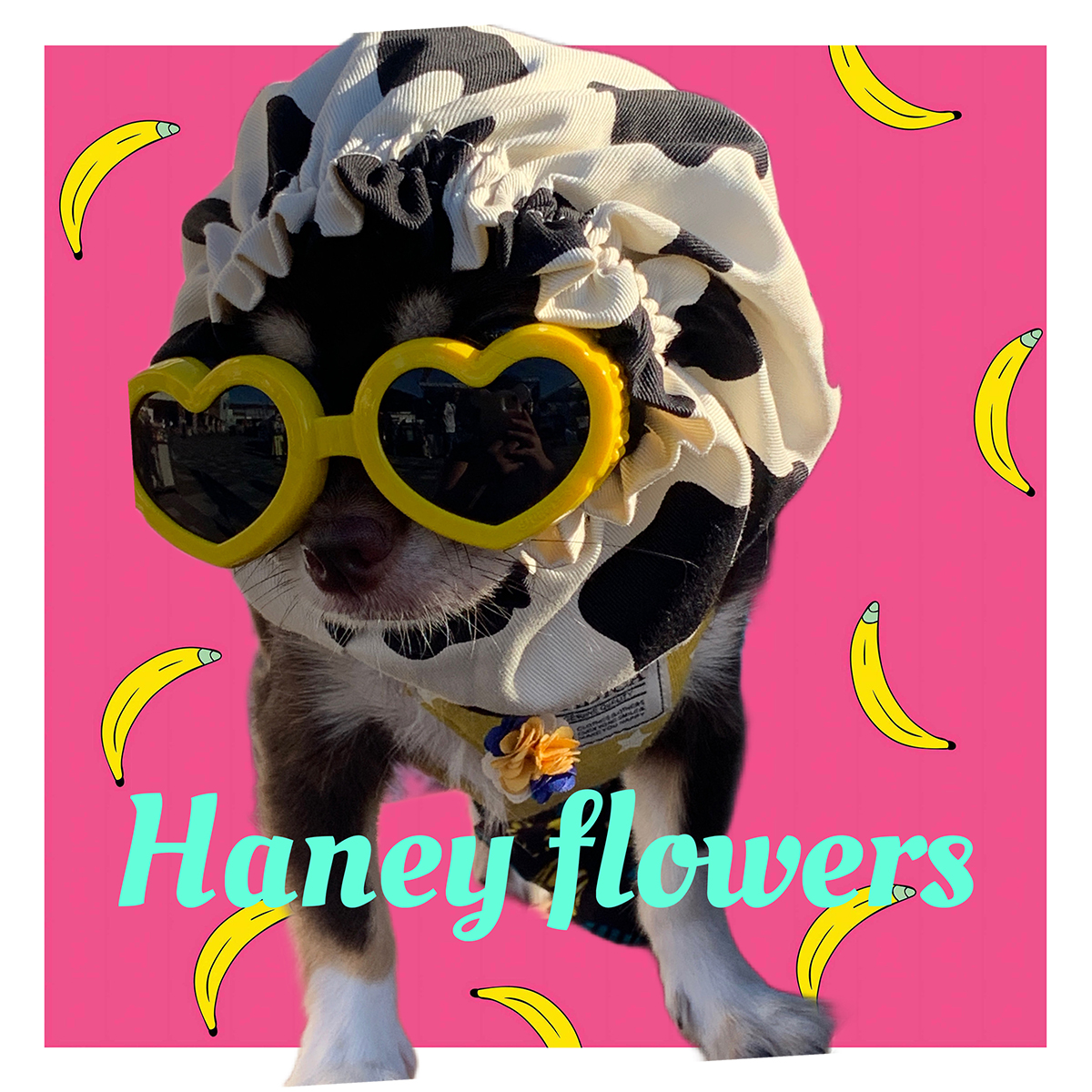 Haney flowers