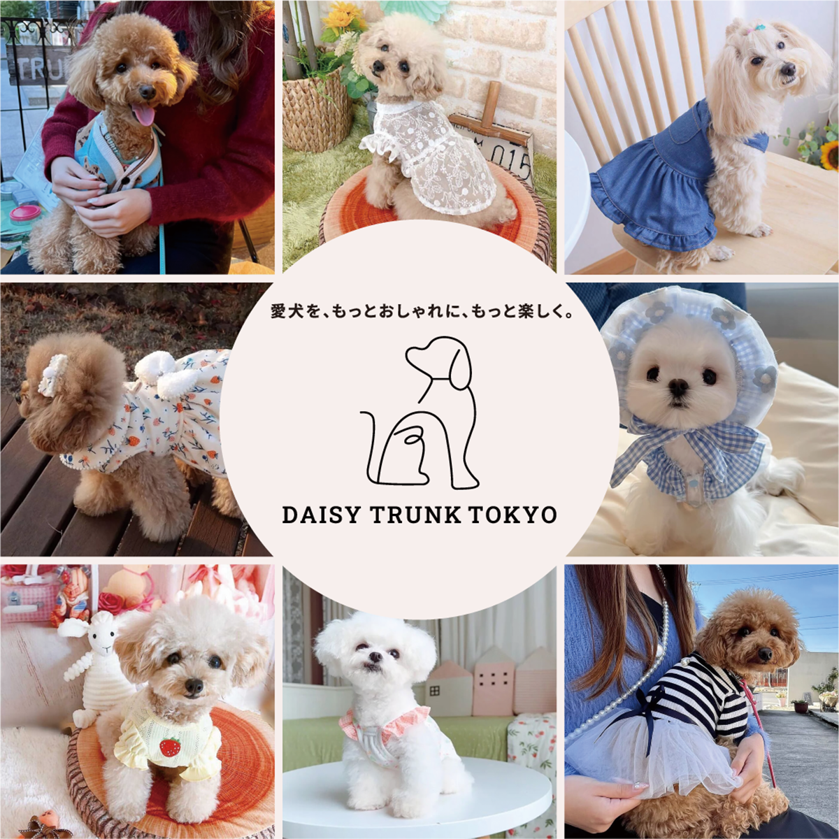 DAISY TRUNK TOKYO