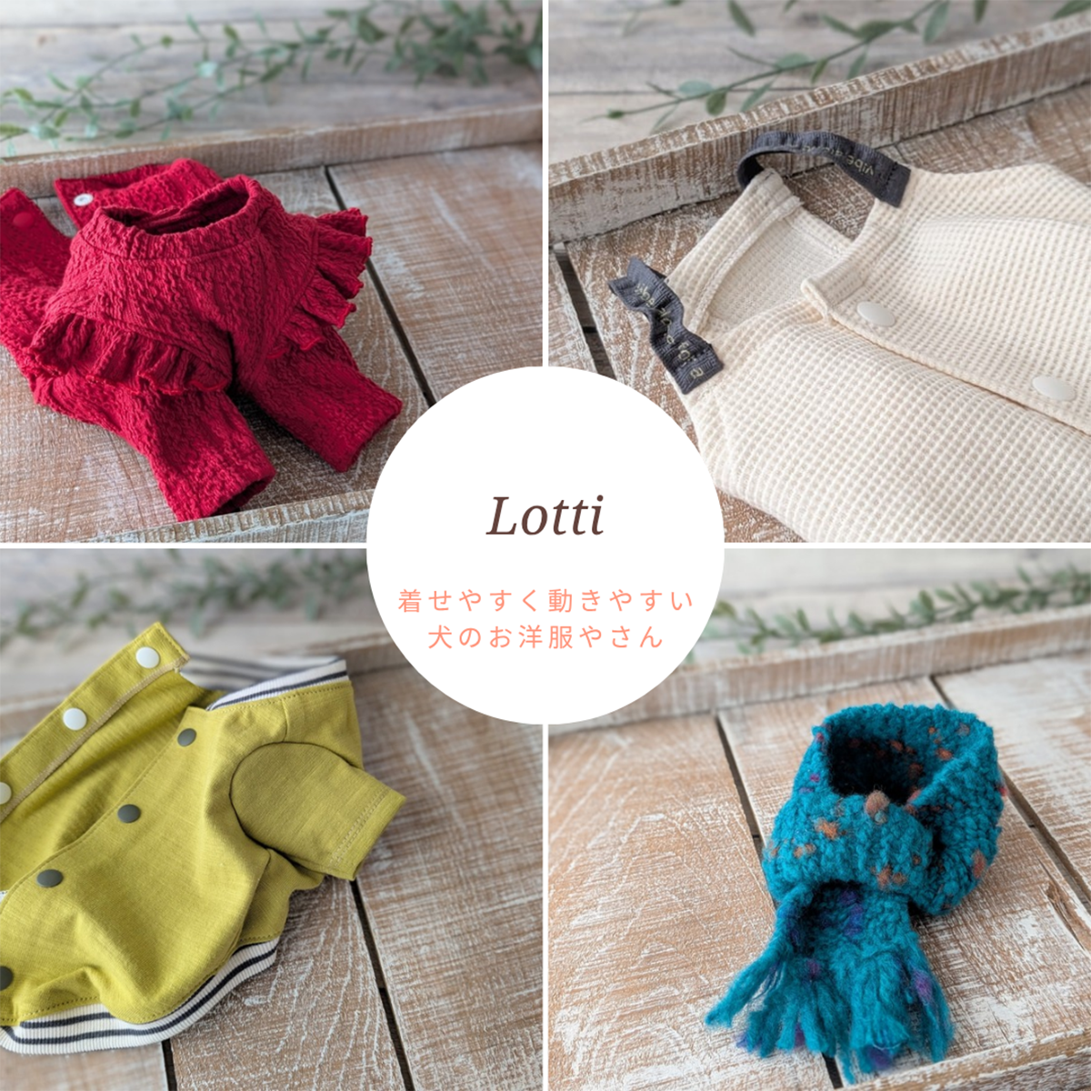 Lotti〜着せやすく動きやすい犬のお洋服やさん〜