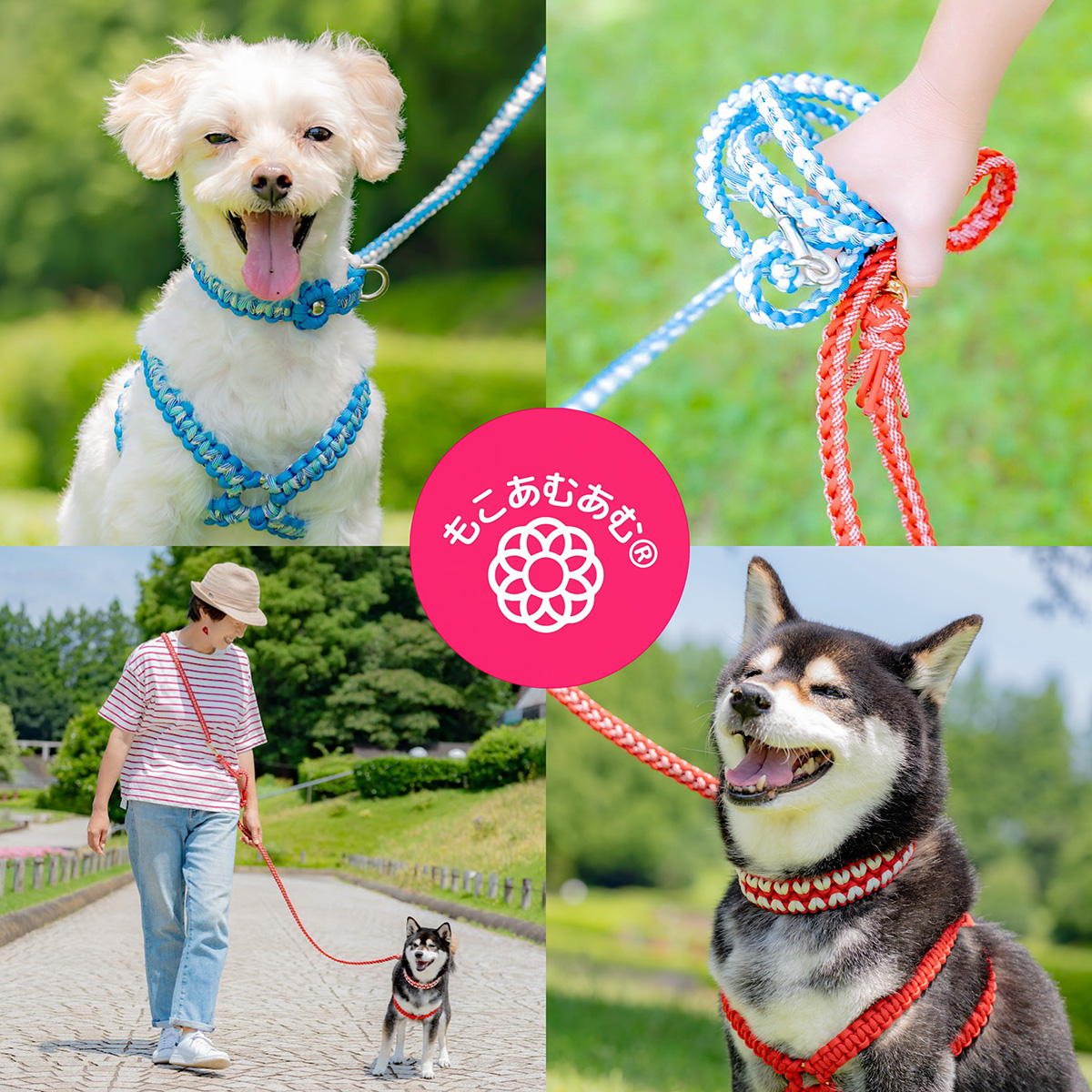 もこあむあむ®︎