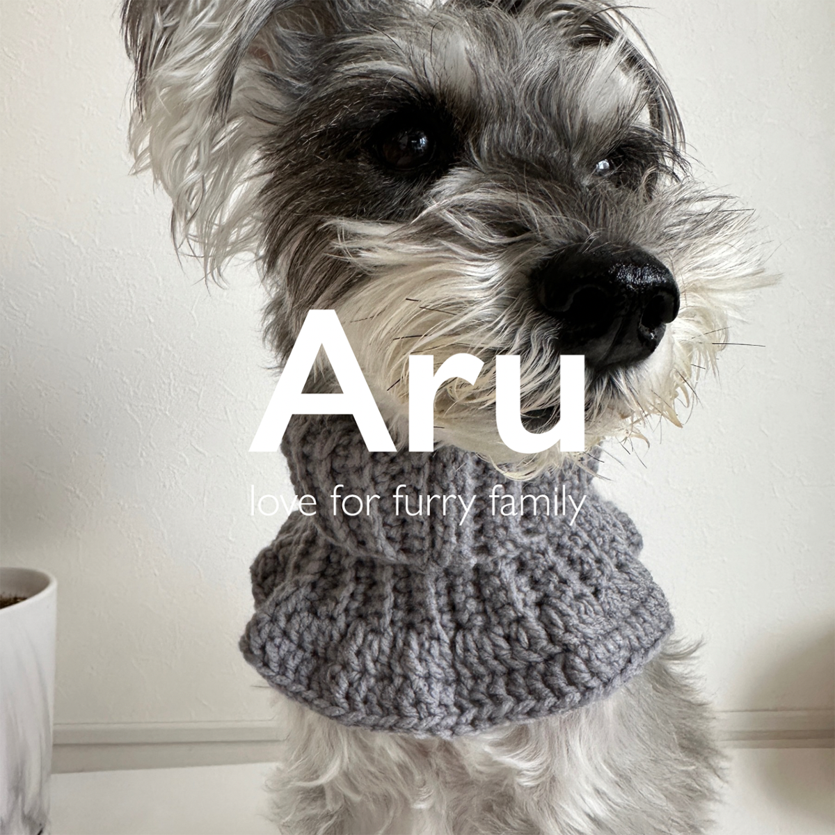 Aru×Drawing for furry