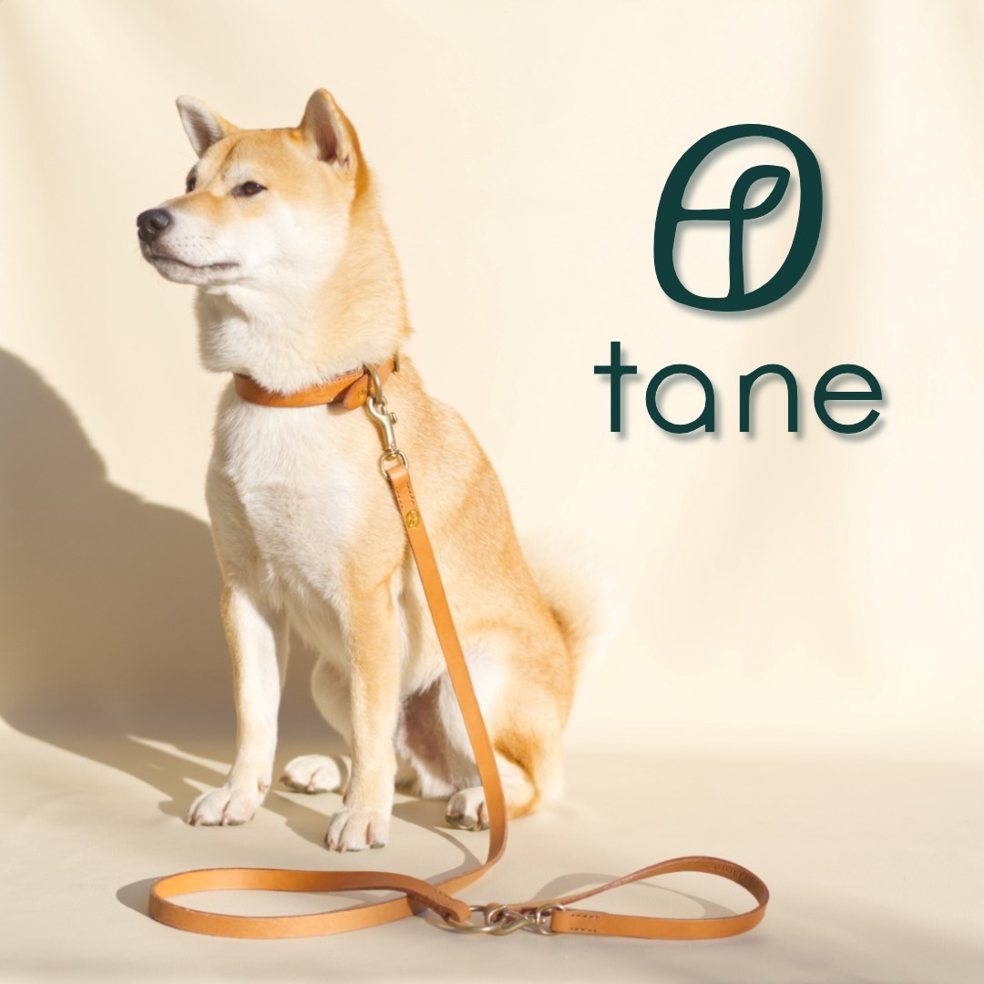 tane
