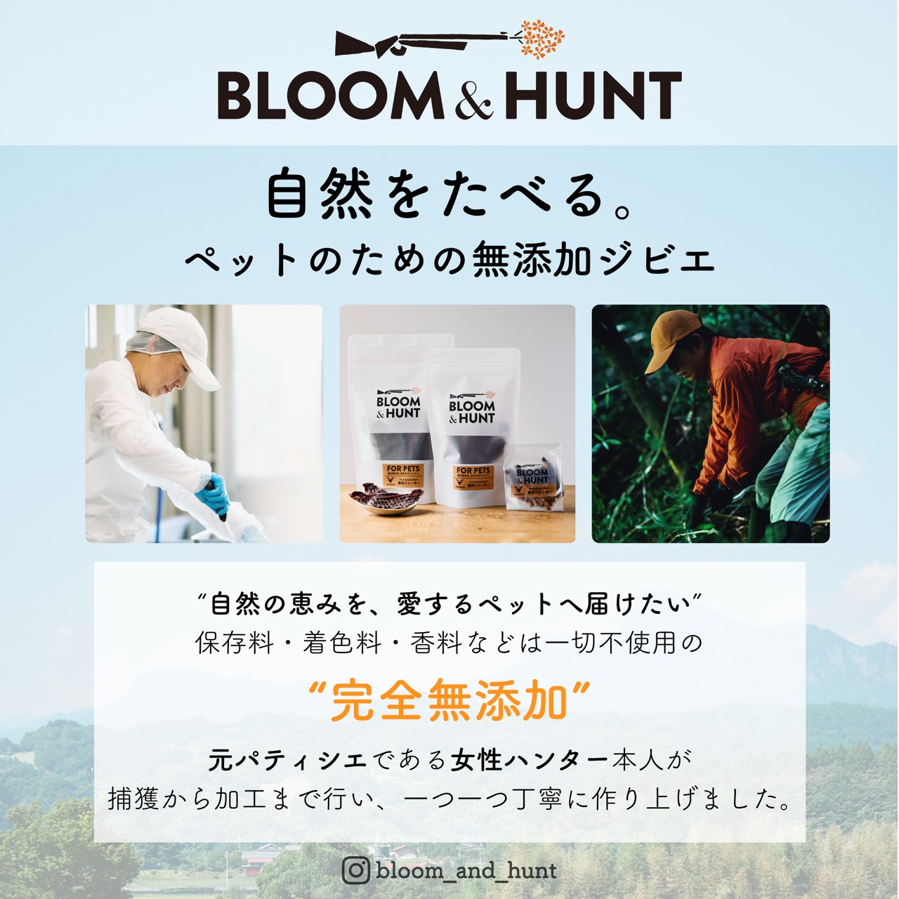 BLOOM & HUNT