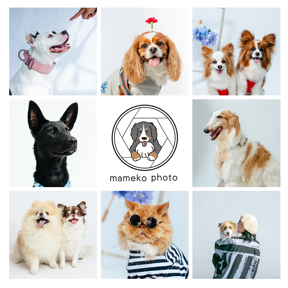 mameko photo