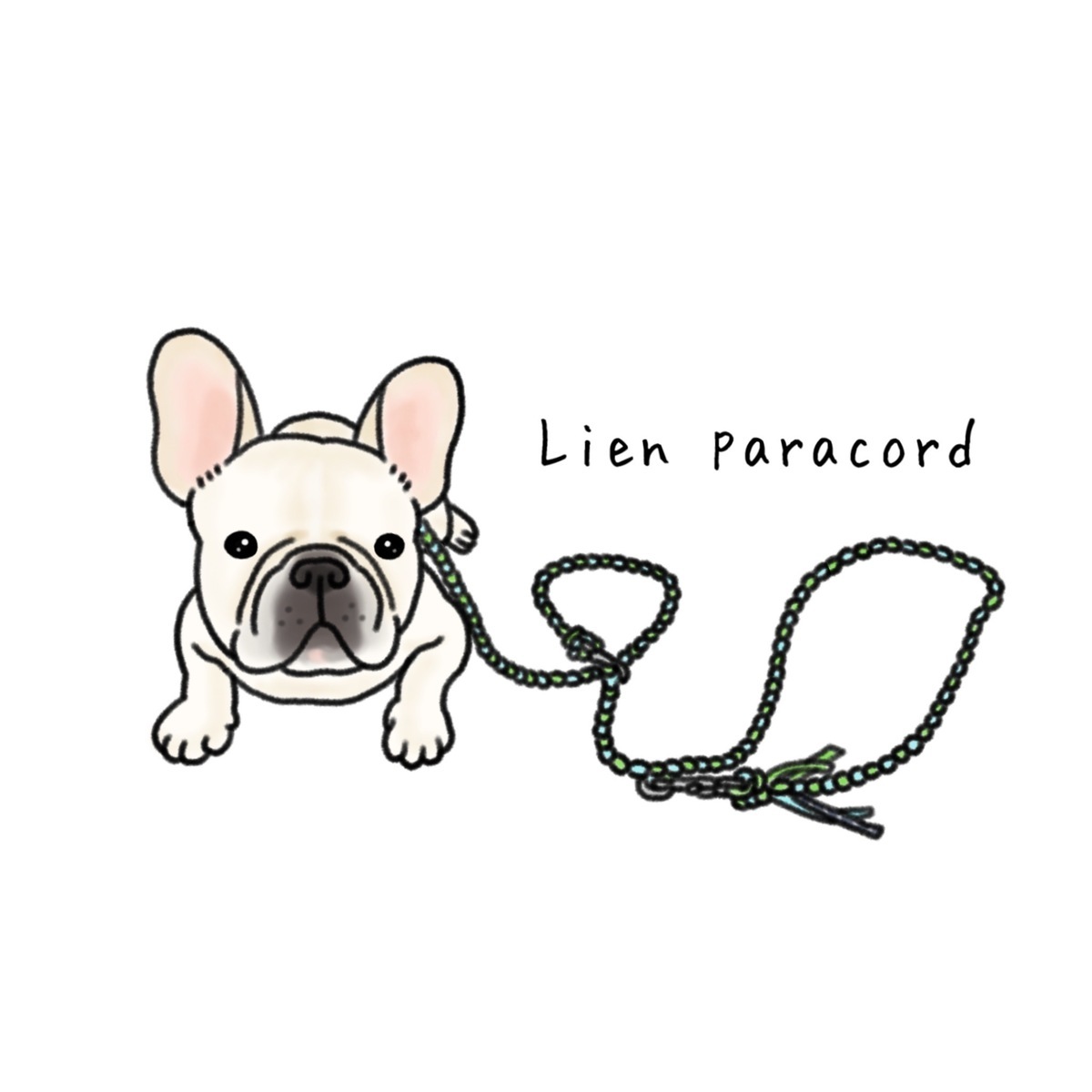 Lien paracord