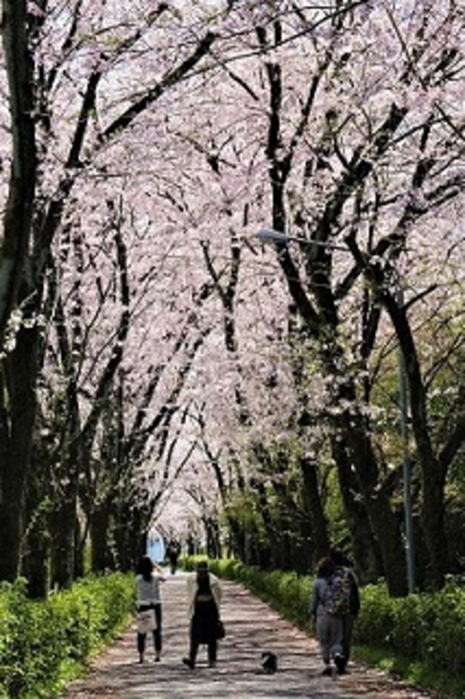 岐阜県多治見市